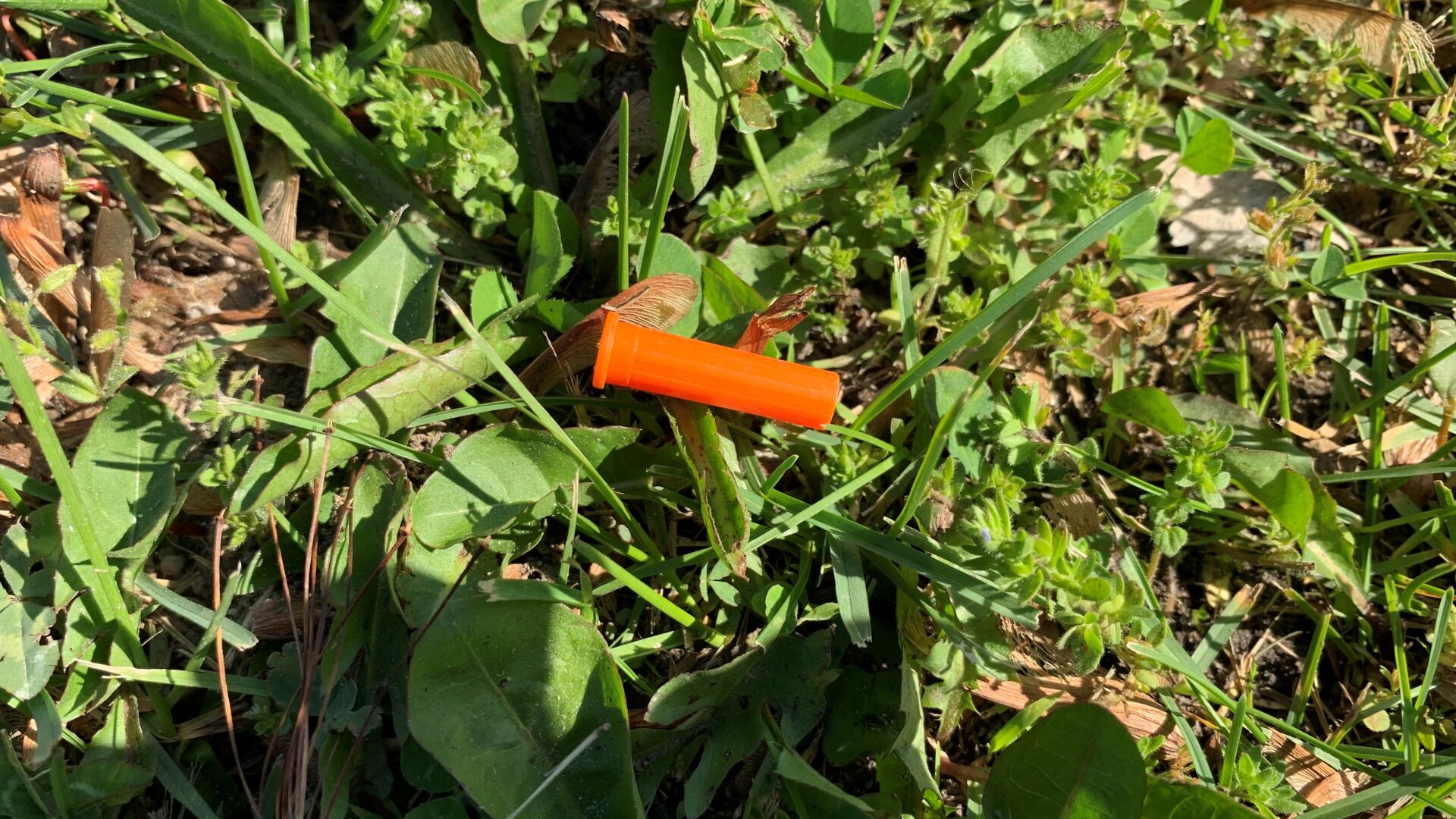 Cap Syringe.jpg